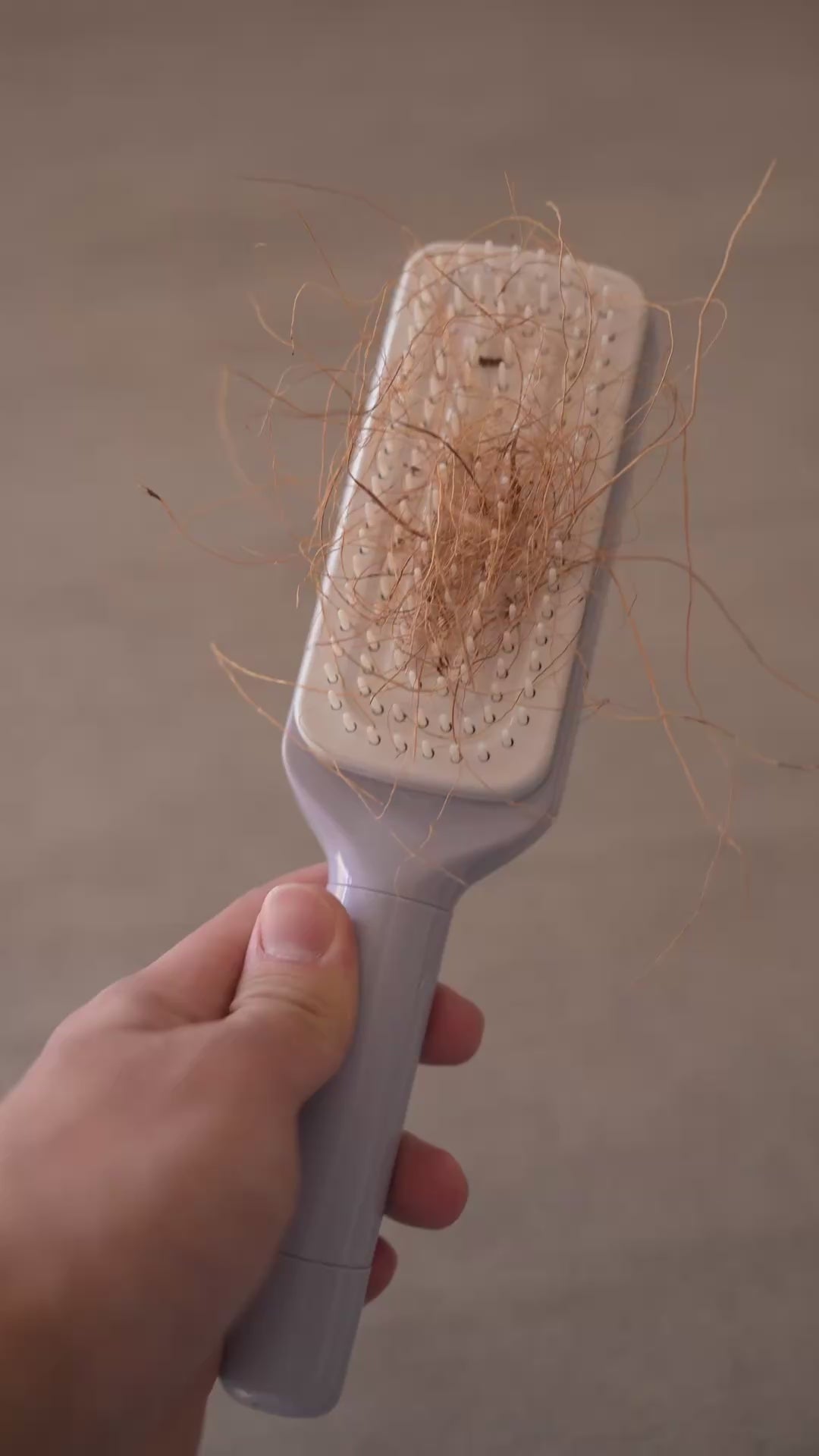 PurePress セルフクリーニング・パドルブラシ